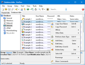 KeePass 2.x 主窗口：分组与条目